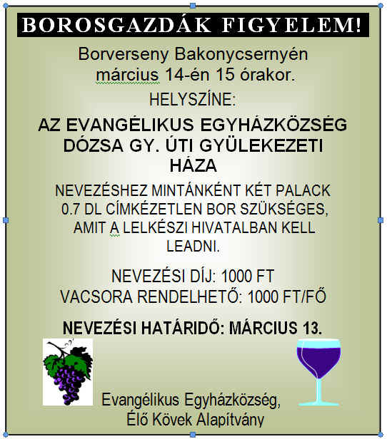 borverseny1.jpg (171952 bytes)